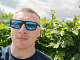 Дмитрий из Владимира, 36 лет